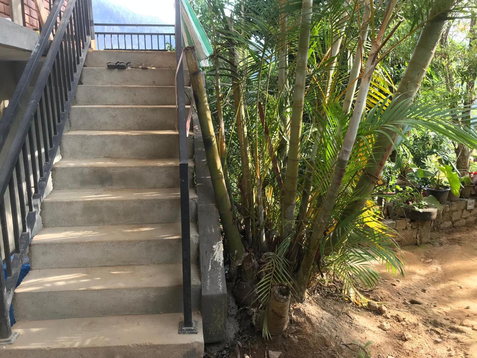 Ridge View Guest House -엘라 외부 사진