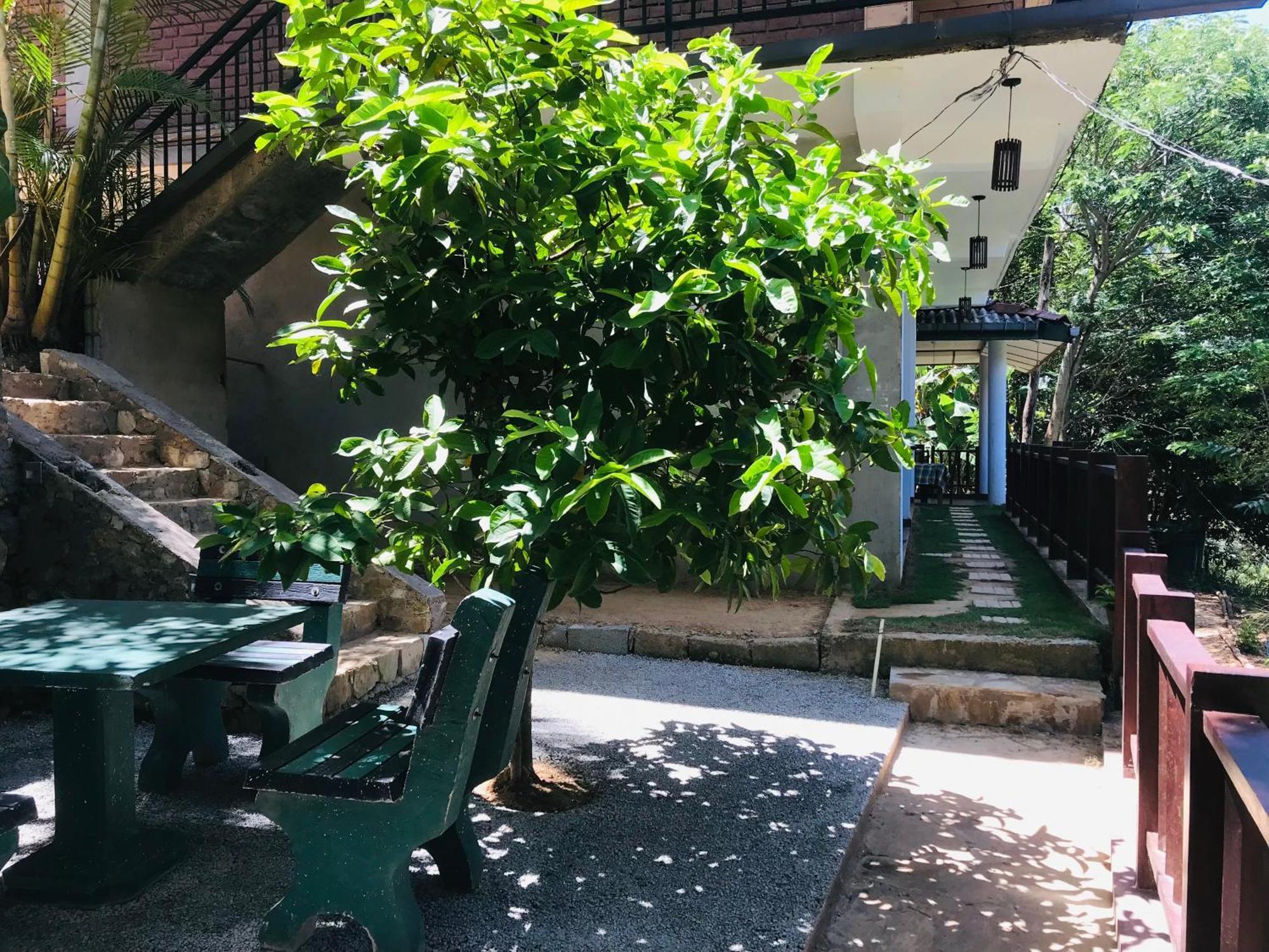 Ridge View Guest House -엘라 외부 사진